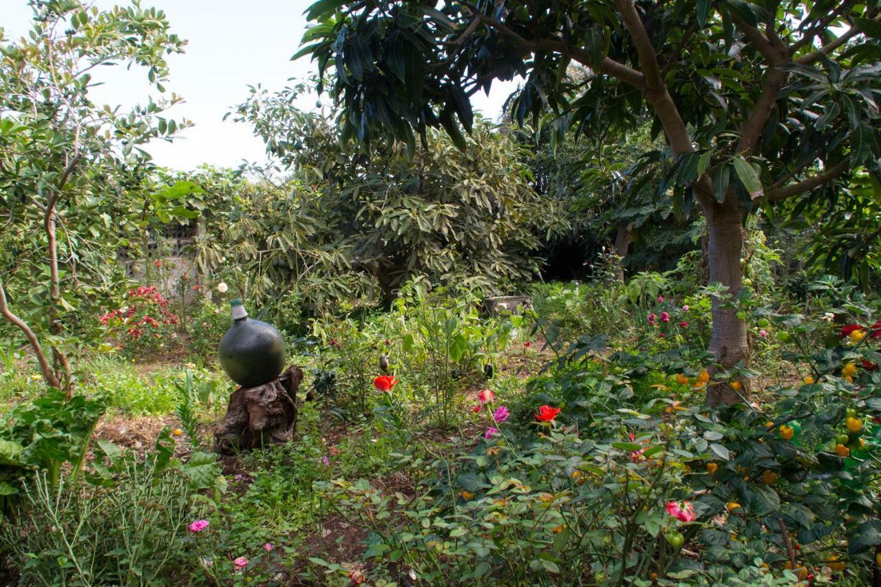 Bodega Goyo Daire Puntallana Dış mekan fotoğraf